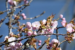 photo thumbnail #10
