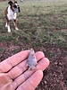 photo thumbnail #5