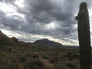 photo thumbnail #1