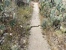 photo thumbnail #2