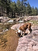 photo thumbnail #2