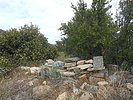 photo thumbnail #2