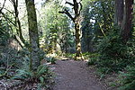 photo thumbnail #3