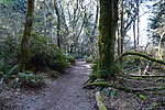 photo thumbnail #4