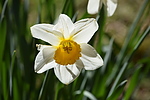 photo thumbnail #10
