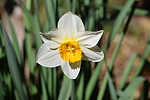 photo thumbnail #12