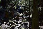 photo thumbnail #3