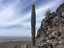photo thumbnail #1
