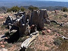photo thumbnail #10