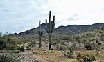 photo thumbnail #14