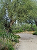 photo thumbnail #6