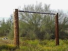 photo thumbnail #7