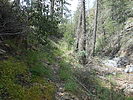 photo thumbnail #1