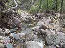photo thumbnail #10