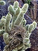 photo thumbnail #7