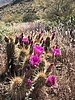 photo thumbnail #3