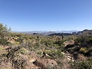 photo thumbnail #4