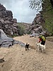photo thumbnail #9
