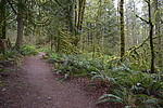 photo thumbnail #2