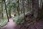 photo thumbnail #9