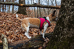 photo thumbnail #10
