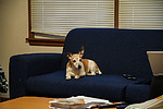 photo thumbnail #8