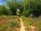 photo thumbnail #7