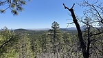 photo thumbnail #6