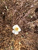 photo thumbnail #15