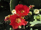 photo thumbnail #6
