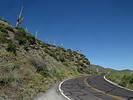 photo thumbnail #14