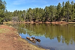 photo thumbnail #5