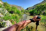 photo thumbnail #5