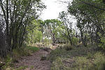 photo thumbnail #4