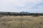 photo thumbnail #13