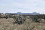 photo thumbnail #14