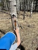 photo thumbnail #3