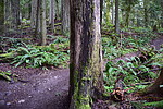 photo thumbnail #8