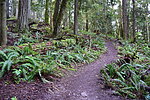 photo thumbnail #9