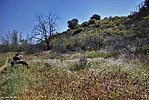 photo thumbnail #11