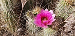 photo thumbnail #7