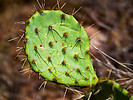 photo thumbnail #13