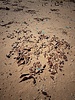 photo thumbnail #15