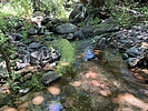 photo thumbnail #14