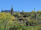 photo thumbnail #9