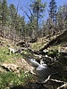 photo thumbnail #1