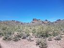 photo thumbnail #3