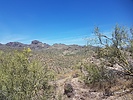 photo thumbnail #5
