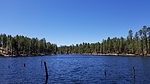 photo thumbnail #6