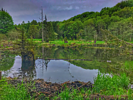 photo thumbnail #6